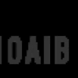 Shoaib Sports Company