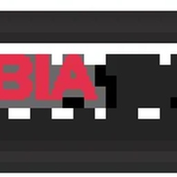 RABIA & SADDIQUE INTERNATIONAL