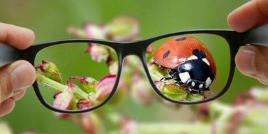 Central Optical