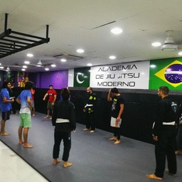 Rogue Fitness and Martial Arts Academy