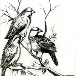 Xpression Art by Mahum Valliani