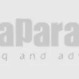 MEDIA PARADIGM