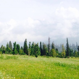 Kashmir Trip
