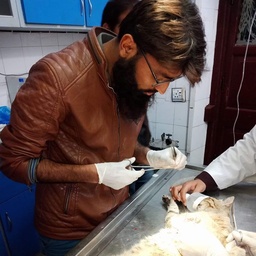 PetsCare Animal Hospital Lahore - Home Service" www.callvet.pk