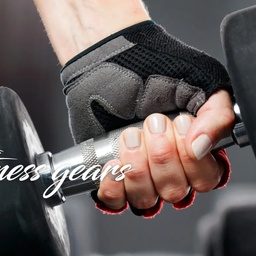 Wisetech Power