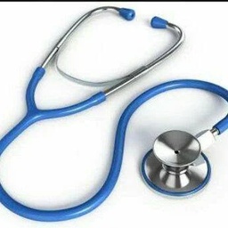Final year mbbs