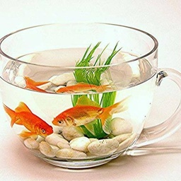 Johar Fish Aquarium & Birds Cages