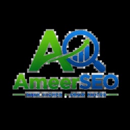 Ameer SEO