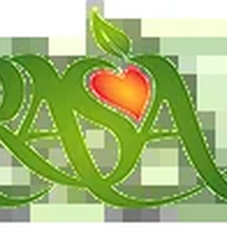 RASA INTERNATIONAL LEATHER CO