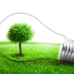 Cavax Enterprises Pakistan