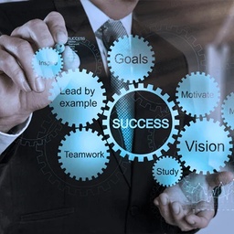 PROFESSIONALS' INSTITUTE OF EXCELLENCE
