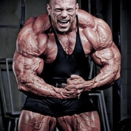 Flex Apeal Body Building GYM Club