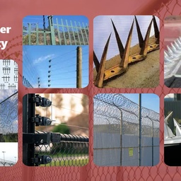 Saleece International