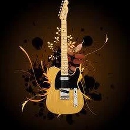 The Guitar Store