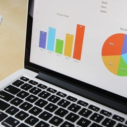 Information Consultant