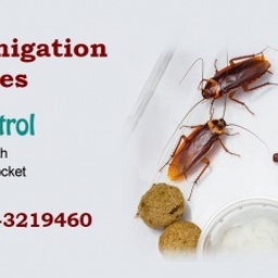 Friends Fumigation Services