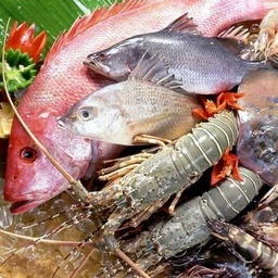 Fresh&Frozen Seafood