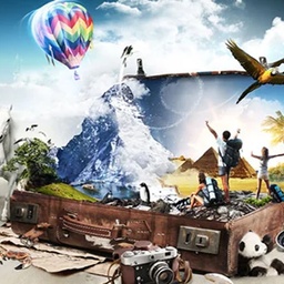 Target Travel Management Company