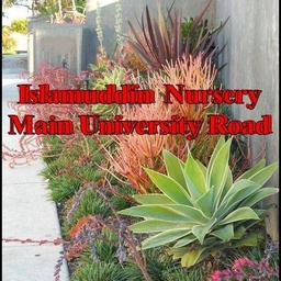 Islamuddin Plants Nursery