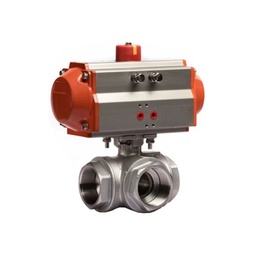 Pneumatic Actuated Valve