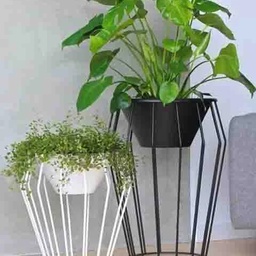 GREEN ENTERPRISES