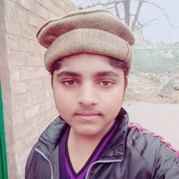 Vehari Burewala