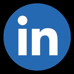 AUSTRALIAN IMMIGRATION NETWORK & IT