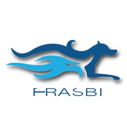 Frasbi