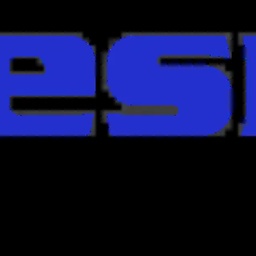 SCALESMEN WEIGHING SYSTEM (PVT) LTD.