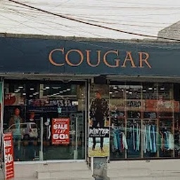 Cougar