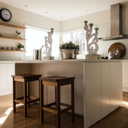 Kitchen Care