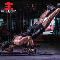 Evolution Fitness