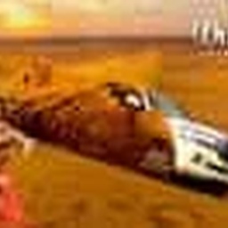 Premium Desert Safari