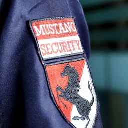 Mustang Security Services (pvt) Ltd.