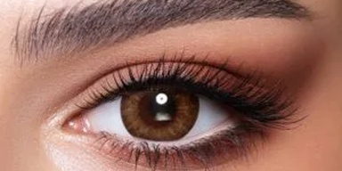 Mughal Optical Company