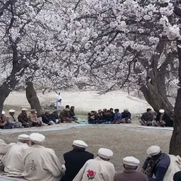 Hunza Explorers Treks & Tours