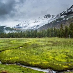 Jasmine Tours Pakistan