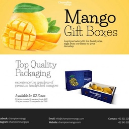 Champion Mango