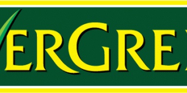 Evergreen Toy Store