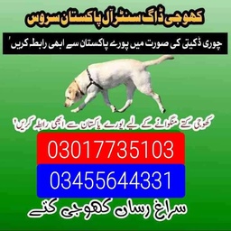 Army dog center Multan