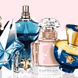THE PERFUME SHOP