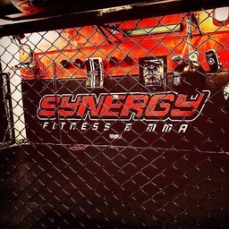 Synergy Fitness & Mixed Martial Arts