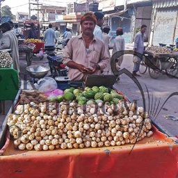 Pak Mushroom Co.