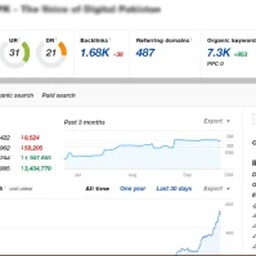 Best SEO