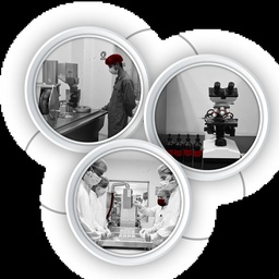 SIGMA PHARMA INTERNATIONAL (PVT) LTD.