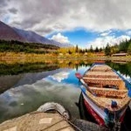 Travel & Tours