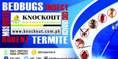 Knockout Pest Control Professional