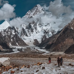 Alpas Travels