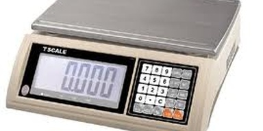 Worldofscales