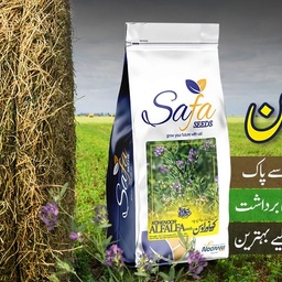 Noorani Seeds